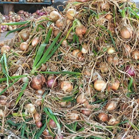 Agriturismo Gli Antichi Sapori Vatolla Esterno foto
