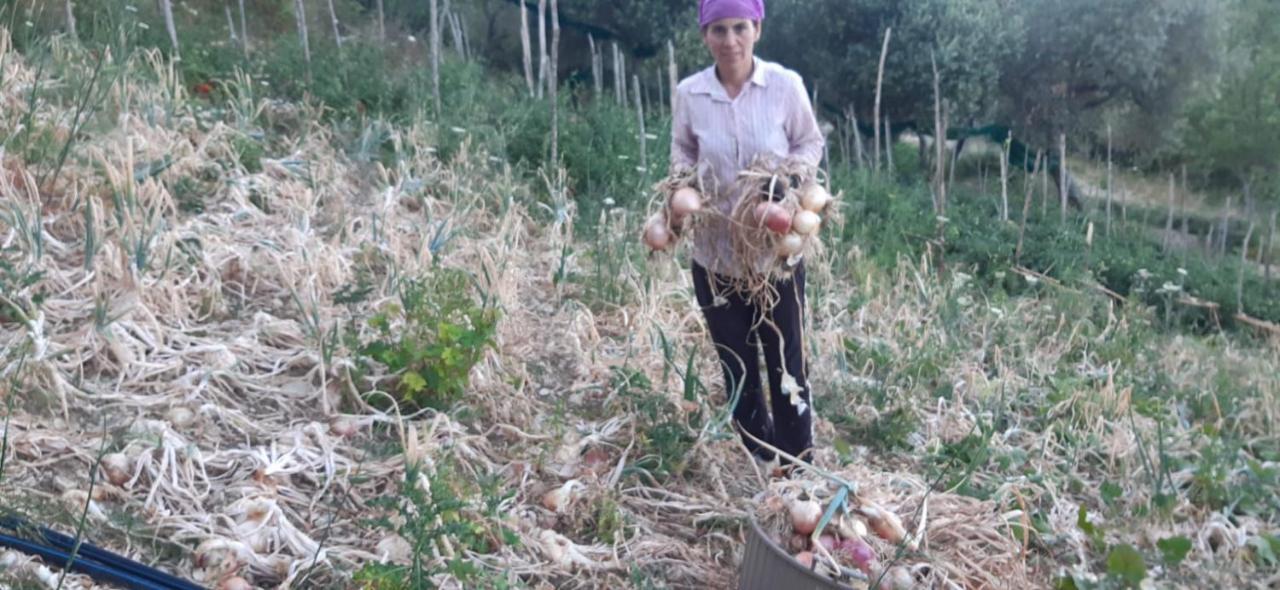 Agriturismo Gli Antichi Sapori Vatolla Esterno foto