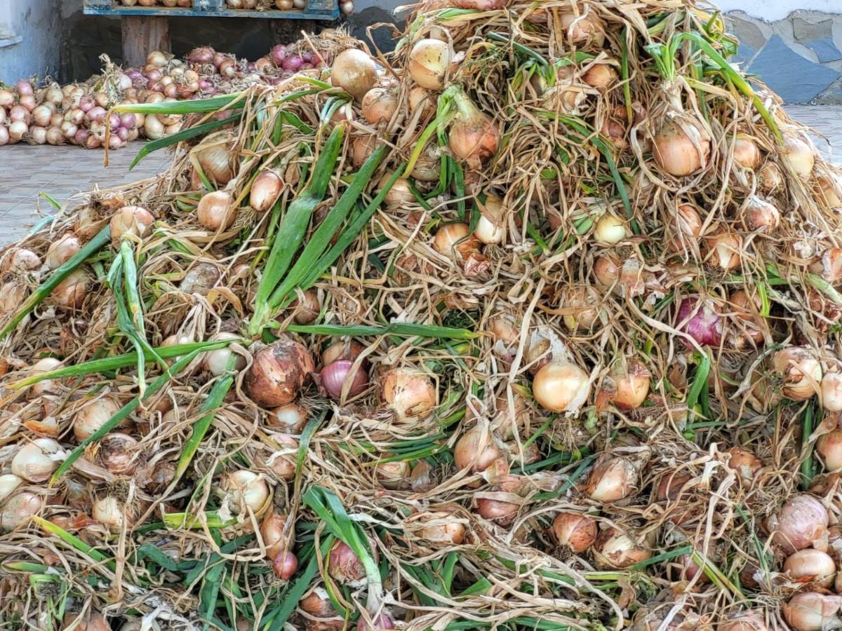 Agriturismo Gli Antichi Sapori Vatolla Esterno foto