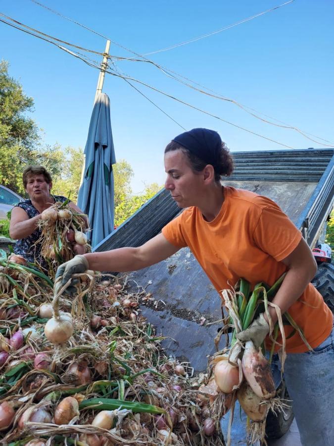 Agriturismo Gli Antichi Sapori Vatolla Esterno foto